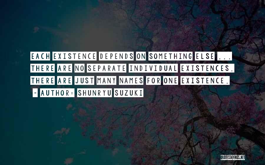 Shunryu Suzuki Quotes: Each Existence Depends On Something Else ... There Are No Separate Individual Existences. There Are Just Many Names For One