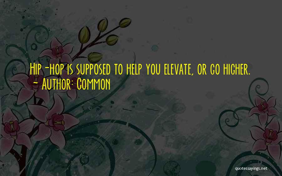 Common Quotes: Hip-hop Is Supposed To Help You Elevate, Or Go Higher.
