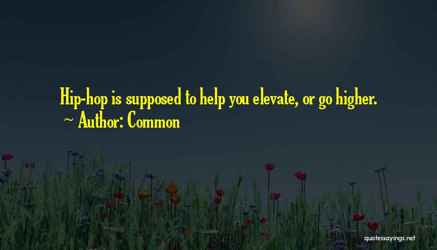 Common Quotes: Hip-hop Is Supposed To Help You Elevate, Or Go Higher.