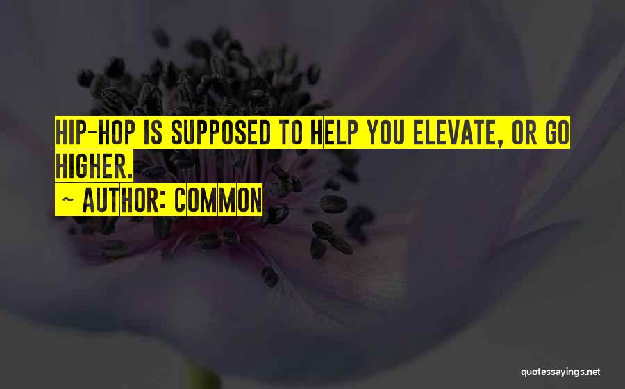 Common Quotes: Hip-hop Is Supposed To Help You Elevate, Or Go Higher.