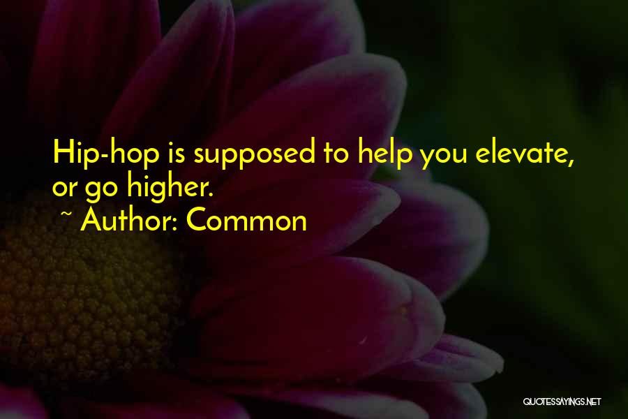 Common Quotes: Hip-hop Is Supposed To Help You Elevate, Or Go Higher.