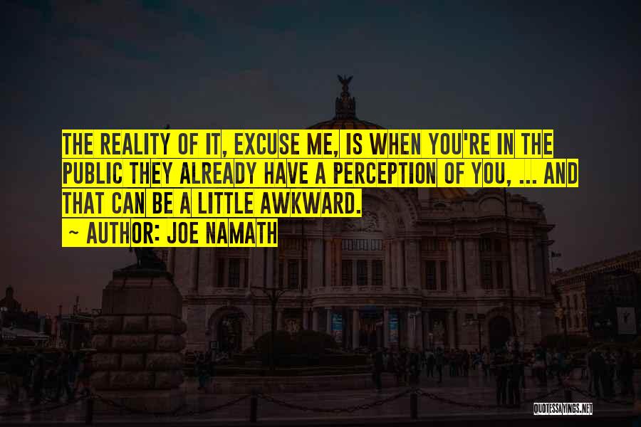 Joe Namath Quotes: The Reality Of It, Excuse Me, Is When You're In The Public They Already Have A Perception Of You, ...