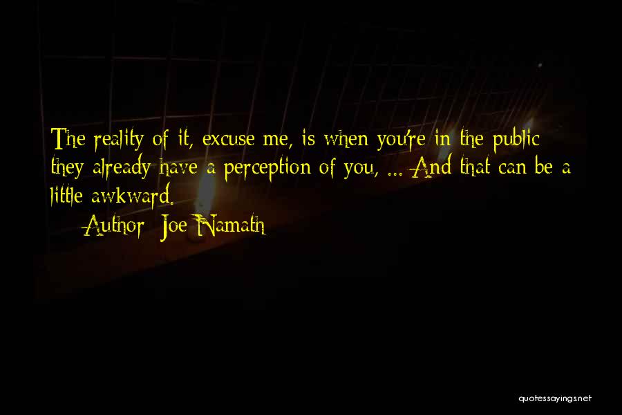 Joe Namath Quotes: The Reality Of It, Excuse Me, Is When You're In The Public They Already Have A Perception Of You, ...