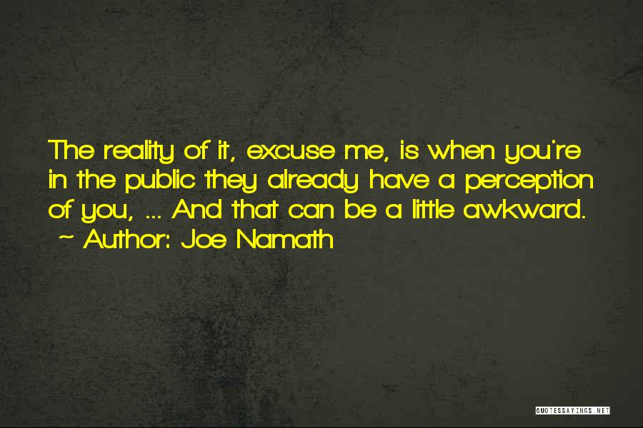 Joe Namath Quotes: The Reality Of It, Excuse Me, Is When You're In The Public They Already Have A Perception Of You, ...