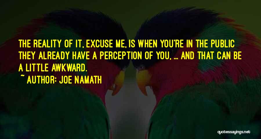 Joe Namath Quotes: The Reality Of It, Excuse Me, Is When You're In The Public They Already Have A Perception Of You, ...