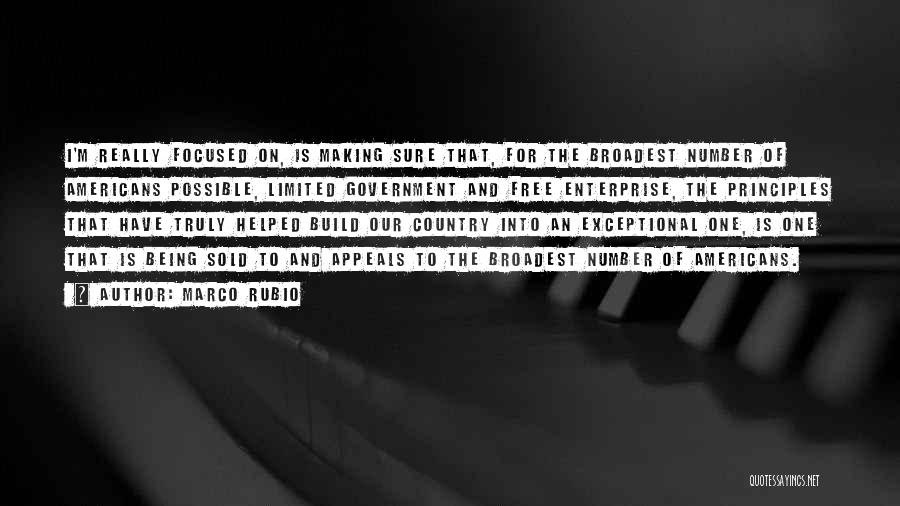 Marco Rubio Quotes: I'm Really Focused On, Is Making Sure That, For The Broadest Number Of Americans Possible, Limited Government And Free Enterprise,