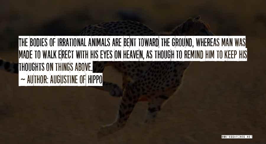 Augustine Of Hippo Quotes: The Bodies Of Irrational Animals Are Bent Toward The Ground, Whereas Man Was Made To Walk Erect With His Eyes
