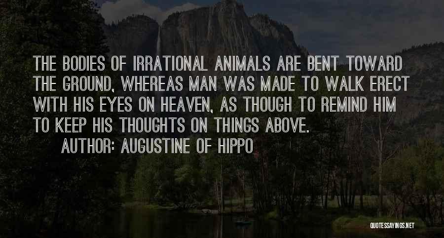 Augustine Of Hippo Quotes: The Bodies Of Irrational Animals Are Bent Toward The Ground, Whereas Man Was Made To Walk Erect With His Eyes