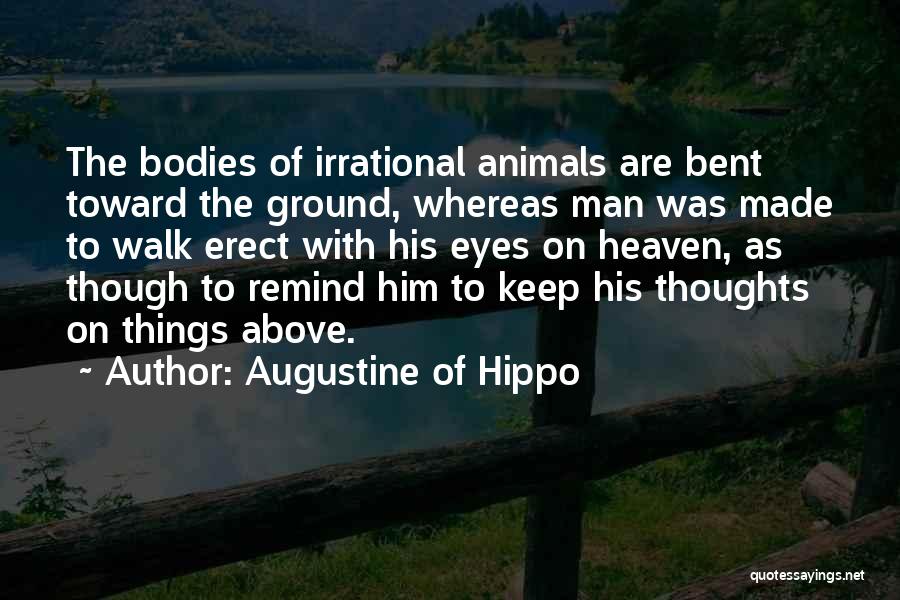 Augustine Of Hippo Quotes: The Bodies Of Irrational Animals Are Bent Toward The Ground, Whereas Man Was Made To Walk Erect With His Eyes