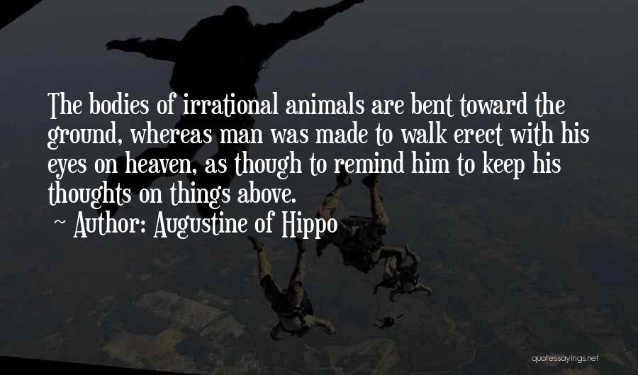 Augustine Of Hippo Quotes: The Bodies Of Irrational Animals Are Bent Toward The Ground, Whereas Man Was Made To Walk Erect With His Eyes