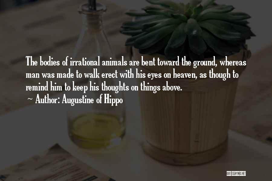 Augustine Of Hippo Quotes: The Bodies Of Irrational Animals Are Bent Toward The Ground, Whereas Man Was Made To Walk Erect With His Eyes