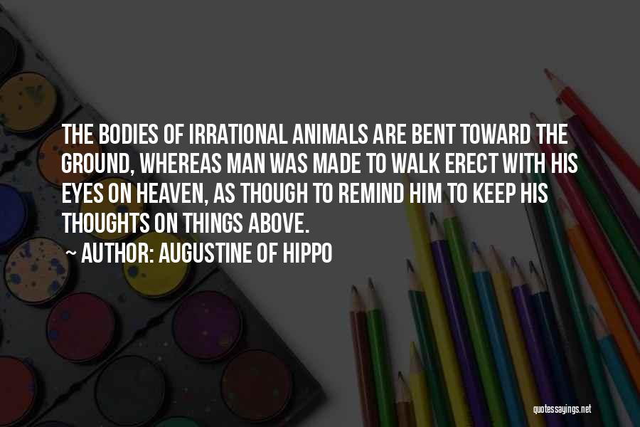 Augustine Of Hippo Quotes: The Bodies Of Irrational Animals Are Bent Toward The Ground, Whereas Man Was Made To Walk Erect With His Eyes