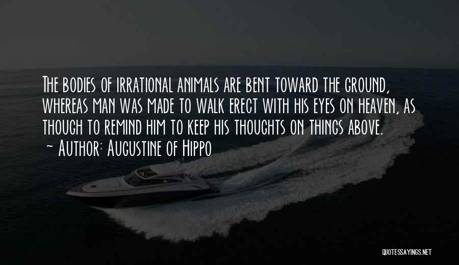 Augustine Of Hippo Quotes: The Bodies Of Irrational Animals Are Bent Toward The Ground, Whereas Man Was Made To Walk Erect With His Eyes