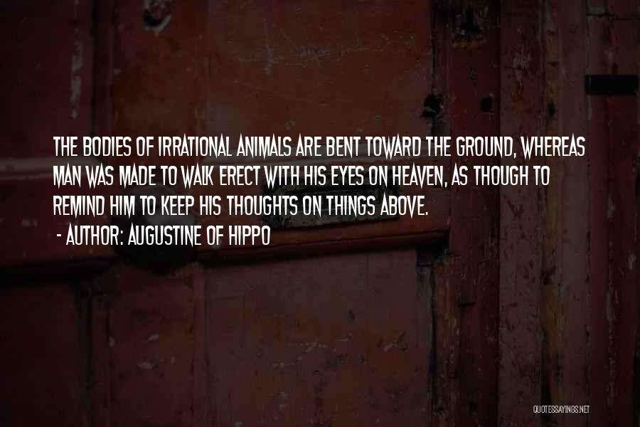 Augustine Of Hippo Quotes: The Bodies Of Irrational Animals Are Bent Toward The Ground, Whereas Man Was Made To Walk Erect With His Eyes