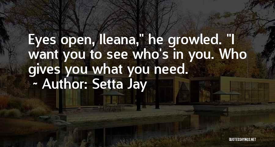 Setta Jay Quotes: Eyes Open, Ileana, He Growled. I Want You To See Who's In You. Who Gives You What You Need.