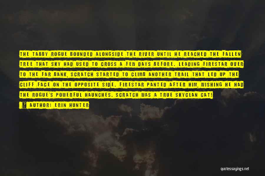 Erin Hunter Quotes: The Tabby Rogue Bounded Alongside The River Until He Reached The Fallen Tree That Sky Had Used To Cross A