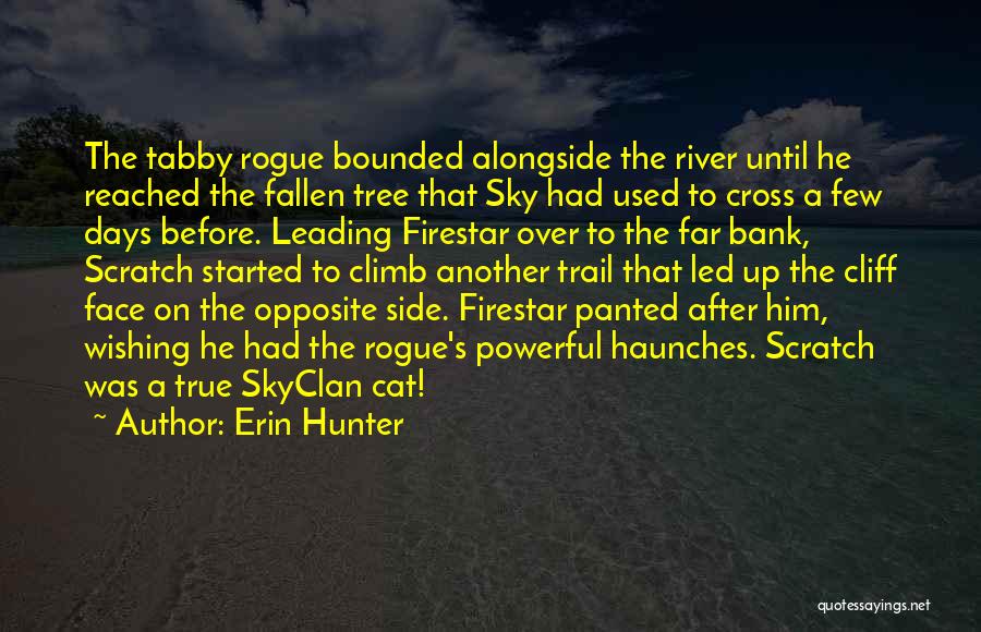 Erin Hunter Quotes: The Tabby Rogue Bounded Alongside The River Until He Reached The Fallen Tree That Sky Had Used To Cross A