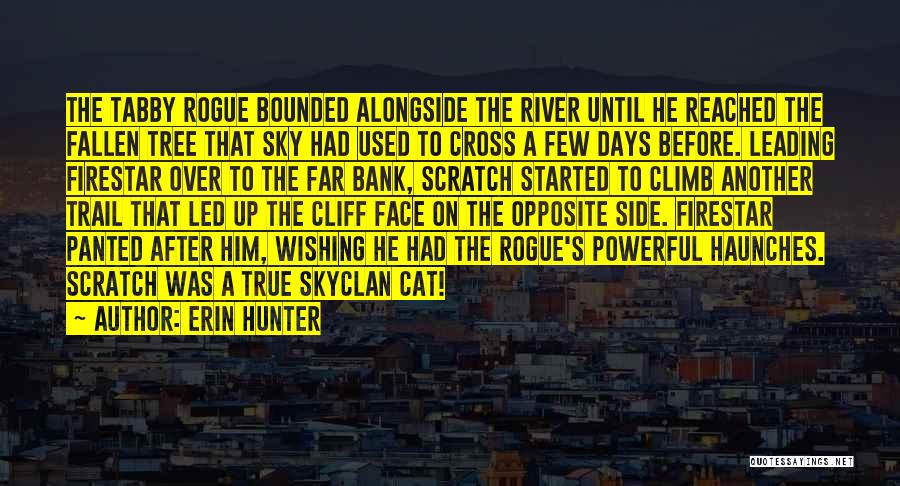 Erin Hunter Quotes: The Tabby Rogue Bounded Alongside The River Until He Reached The Fallen Tree That Sky Had Used To Cross A