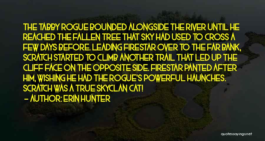 Erin Hunter Quotes: The Tabby Rogue Bounded Alongside The River Until He Reached The Fallen Tree That Sky Had Used To Cross A