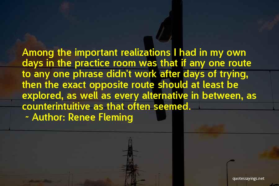 Renee Fleming Quotes: Among The Important Realizations I Had In My Own Days In The Practice Room Was That If Any One Route