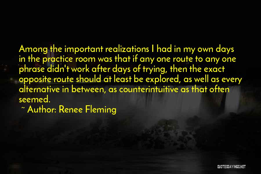 Renee Fleming Quotes: Among The Important Realizations I Had In My Own Days In The Practice Room Was That If Any One Route