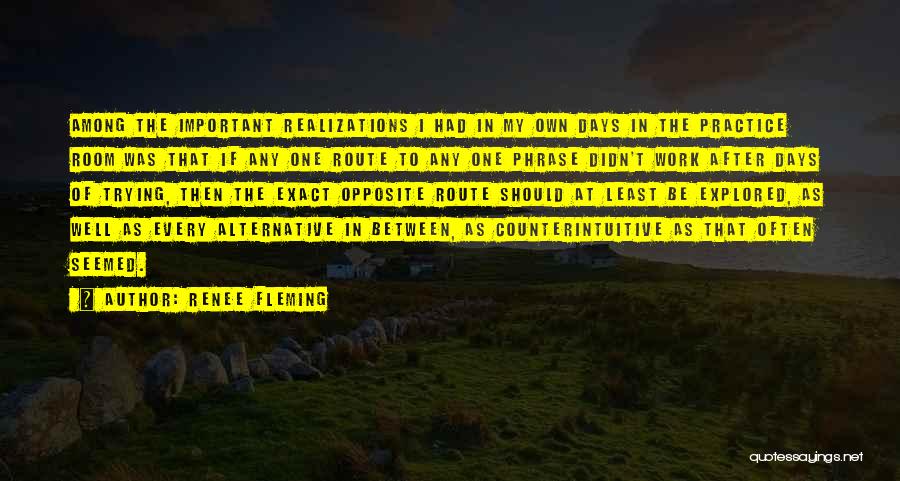 Renee Fleming Quotes: Among The Important Realizations I Had In My Own Days In The Practice Room Was That If Any One Route