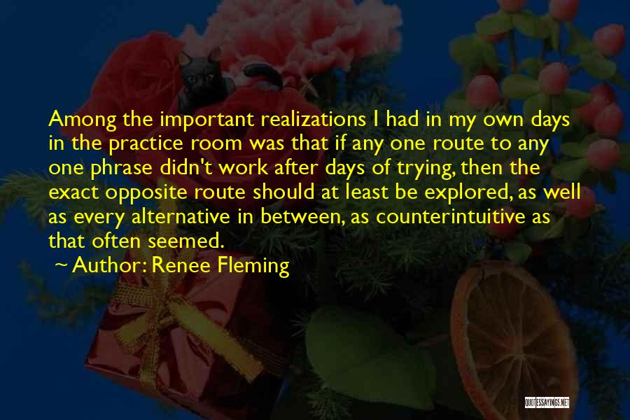 Renee Fleming Quotes: Among The Important Realizations I Had In My Own Days In The Practice Room Was That If Any One Route