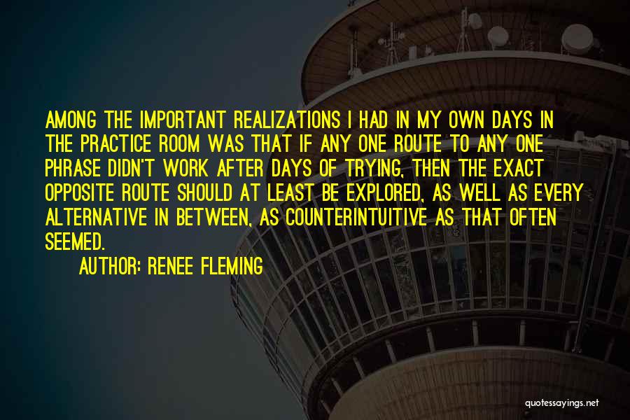 Renee Fleming Quotes: Among The Important Realizations I Had In My Own Days In The Practice Room Was That If Any One Route
