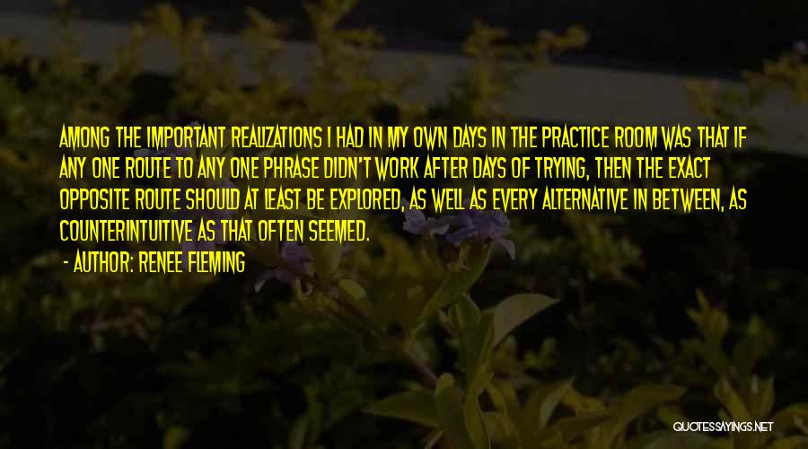 Renee Fleming Quotes: Among The Important Realizations I Had In My Own Days In The Practice Room Was That If Any One Route