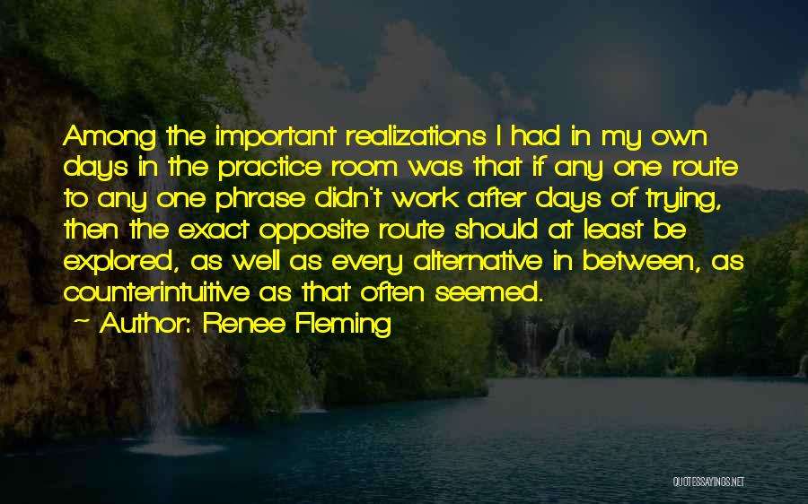 Renee Fleming Quotes: Among The Important Realizations I Had In My Own Days In The Practice Room Was That If Any One Route