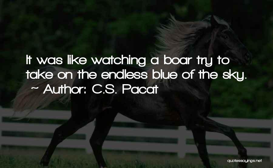 C.S. Pacat Quotes: It Was Like Watching A Boar Try To Take On The Endless Blue Of The Sky.