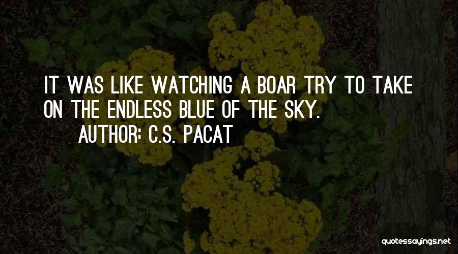 C.S. Pacat Quotes: It Was Like Watching A Boar Try To Take On The Endless Blue Of The Sky.