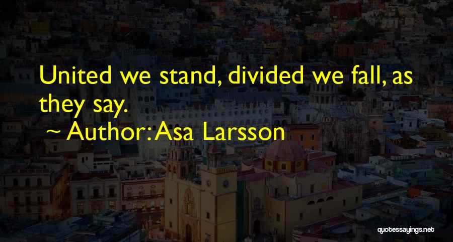 Asa Larsson Quotes: United We Stand, Divided We Fall, As They Say.