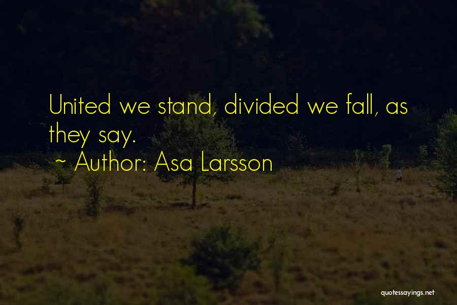 Asa Larsson Quotes: United We Stand, Divided We Fall, As They Say.