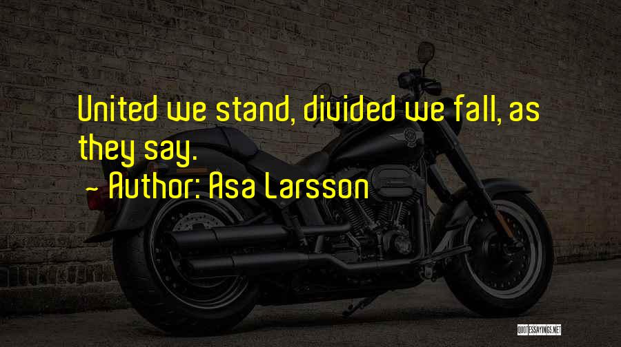 Asa Larsson Quotes: United We Stand, Divided We Fall, As They Say.