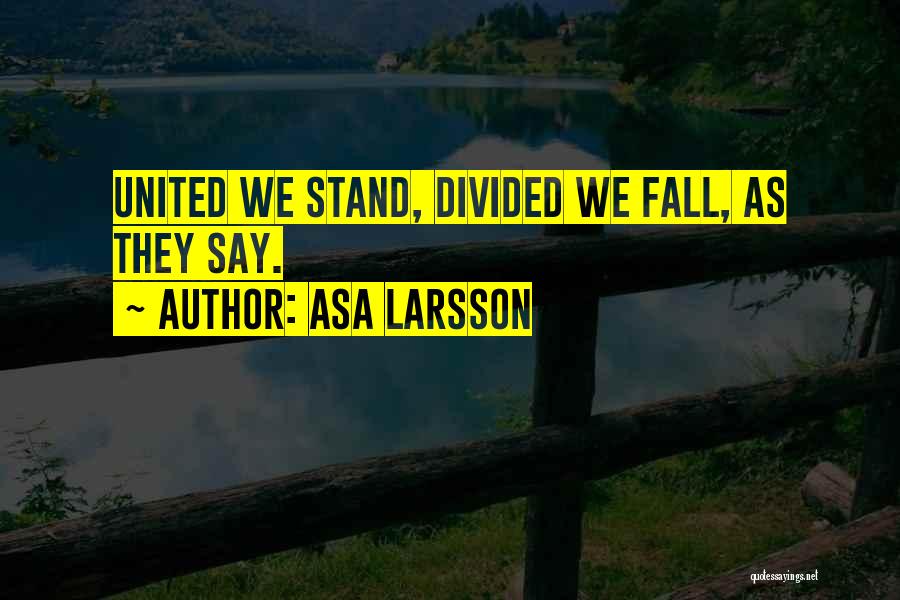 Asa Larsson Quotes: United We Stand, Divided We Fall, As They Say.