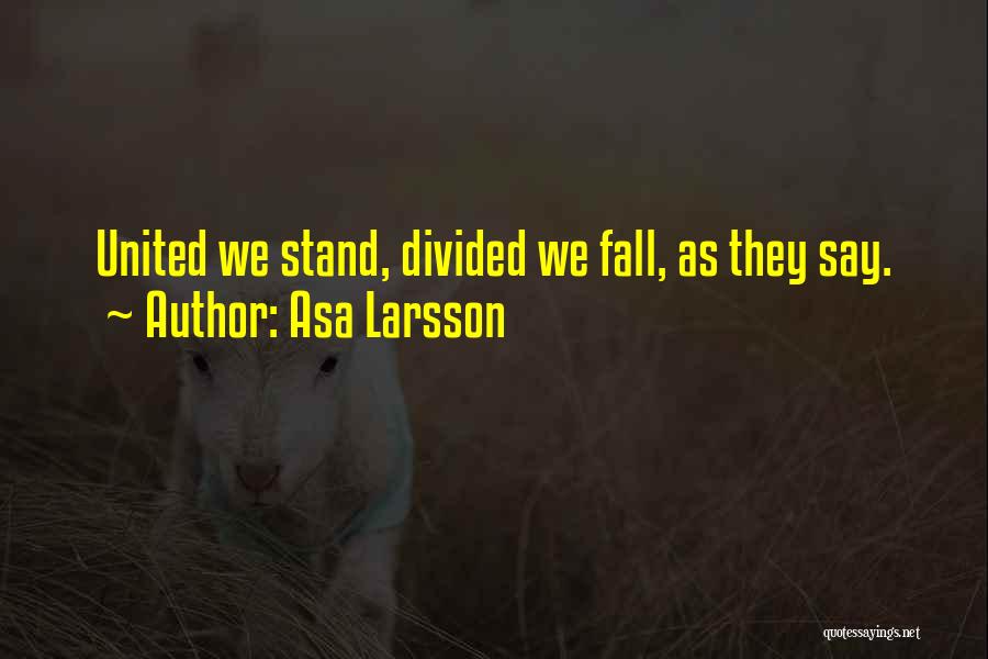 Asa Larsson Quotes: United We Stand, Divided We Fall, As They Say.