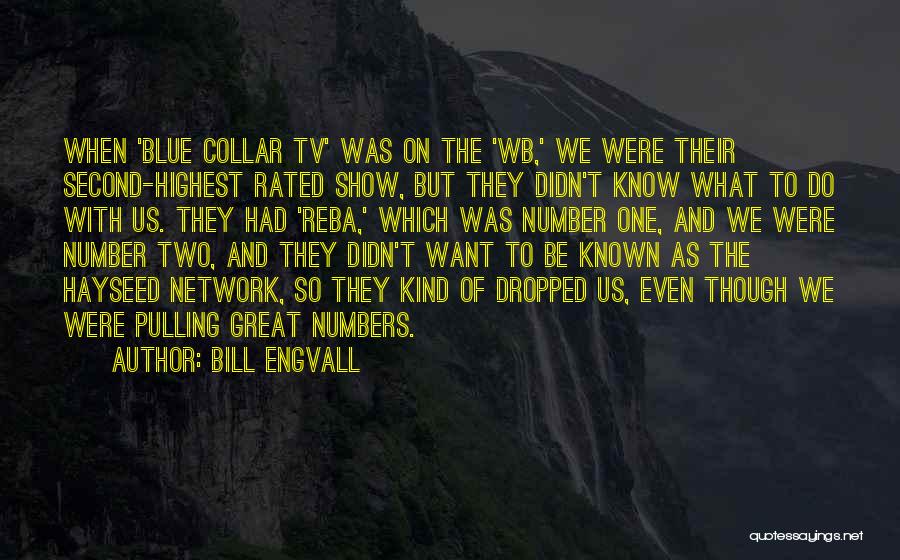 Bill Engvall Quotes: When 'blue Collar Tv' Was On The 'wb,' We Were Their Second-highest Rated Show, But They Didn't Know What To