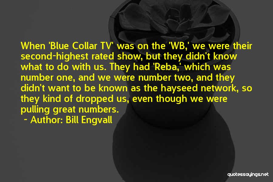 Bill Engvall Quotes: When 'blue Collar Tv' Was On The 'wb,' We Were Their Second-highest Rated Show, But They Didn't Know What To