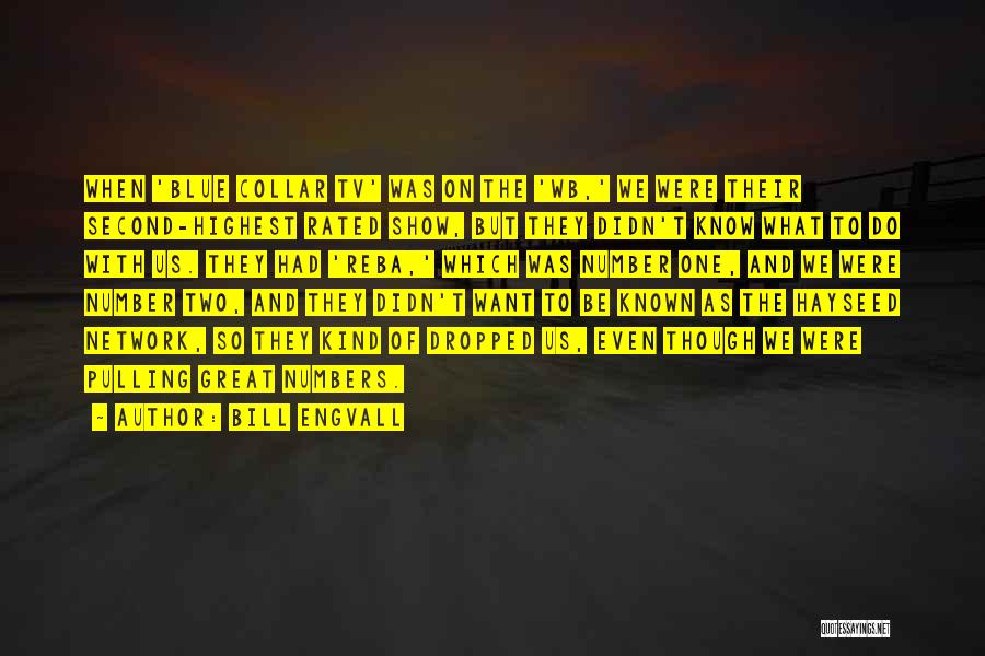 Bill Engvall Quotes: When 'blue Collar Tv' Was On The 'wb,' We Were Their Second-highest Rated Show, But They Didn't Know What To