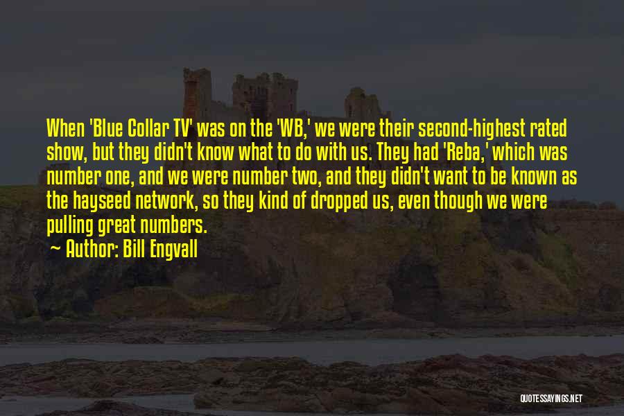 Bill Engvall Quotes: When 'blue Collar Tv' Was On The 'wb,' We Were Their Second-highest Rated Show, But They Didn't Know What To