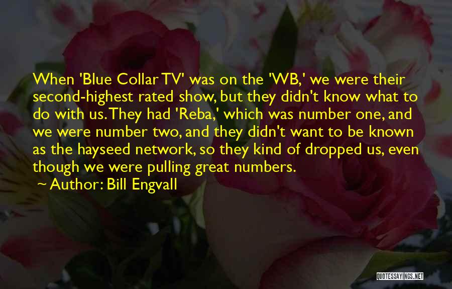 Bill Engvall Quotes: When 'blue Collar Tv' Was On The 'wb,' We Were Their Second-highest Rated Show, But They Didn't Know What To