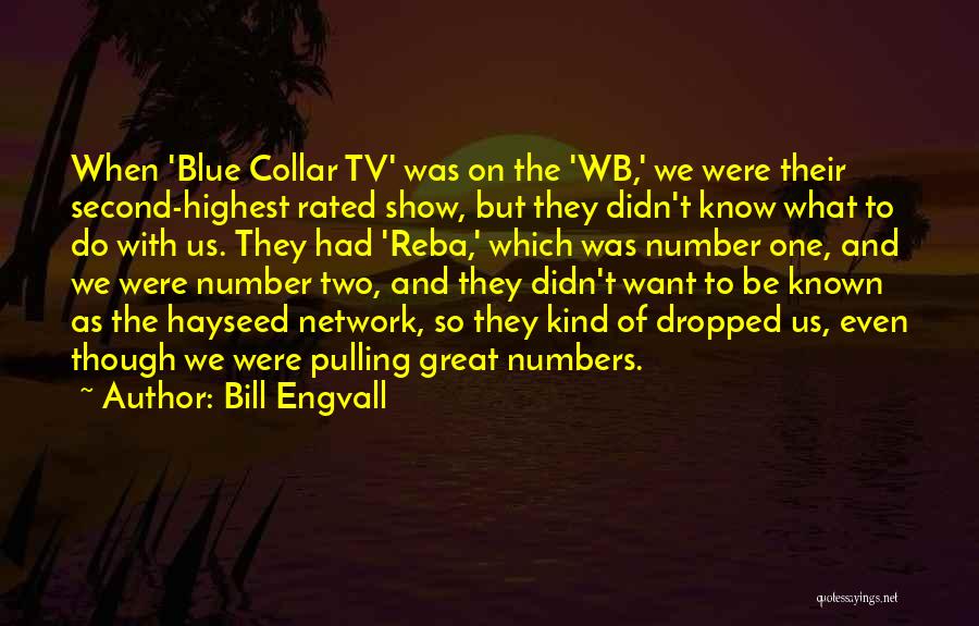 Bill Engvall Quotes: When 'blue Collar Tv' Was On The 'wb,' We Were Their Second-highest Rated Show, But They Didn't Know What To