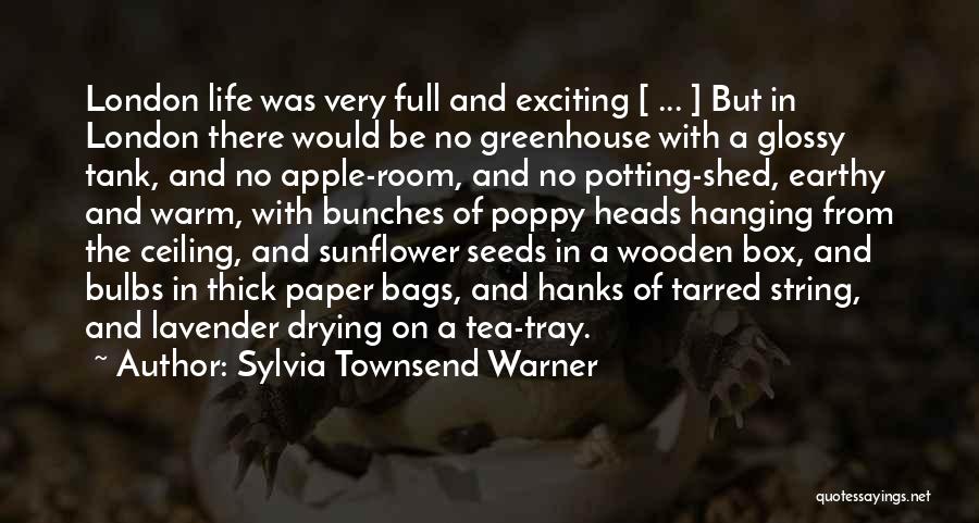 Sylvia Townsend Warner Quotes: London Life Was Very Full And Exciting [ ... ] But In London There Would Be No Greenhouse With A