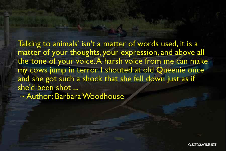 Barbara Woodhouse Quotes: Talking To Animals' Isn't A Matter Of Words Used, It Is A Matter Of Your Thoughts, Your Expression, And Above