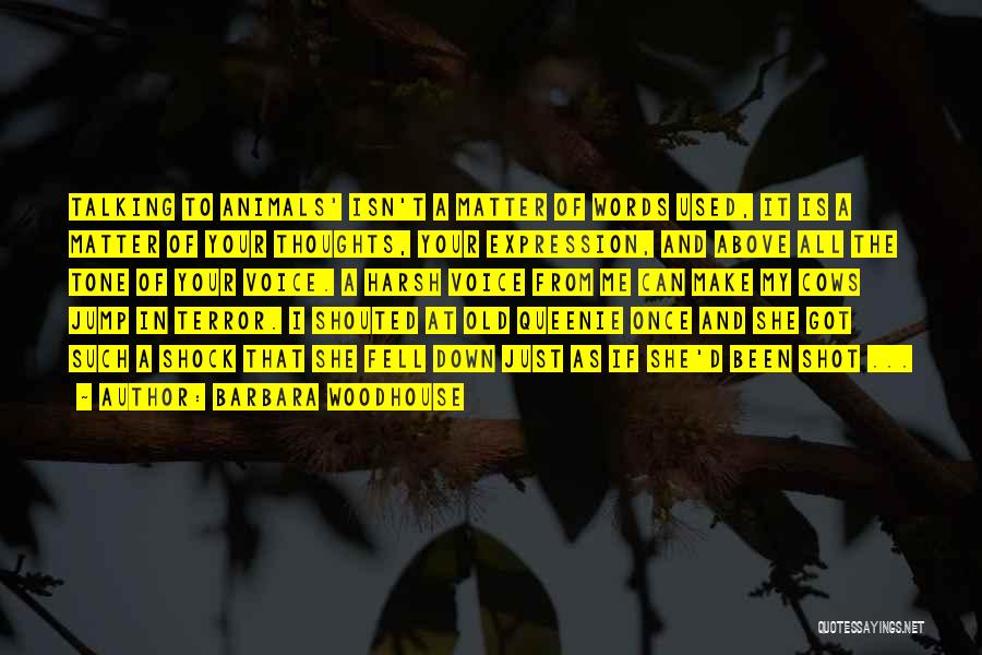 Barbara Woodhouse Quotes: Talking To Animals' Isn't A Matter Of Words Used, It Is A Matter Of Your Thoughts, Your Expression, And Above