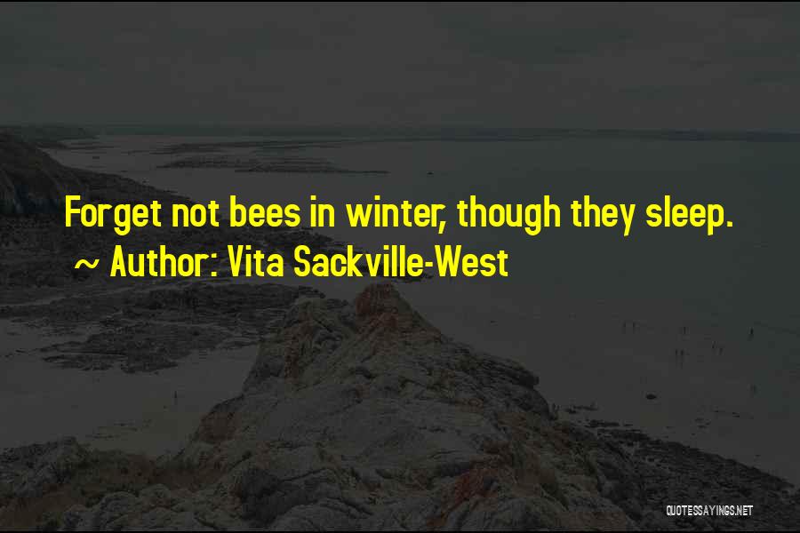 Vita Sackville-West Quotes: Forget Not Bees In Winter, Though They Sleep.