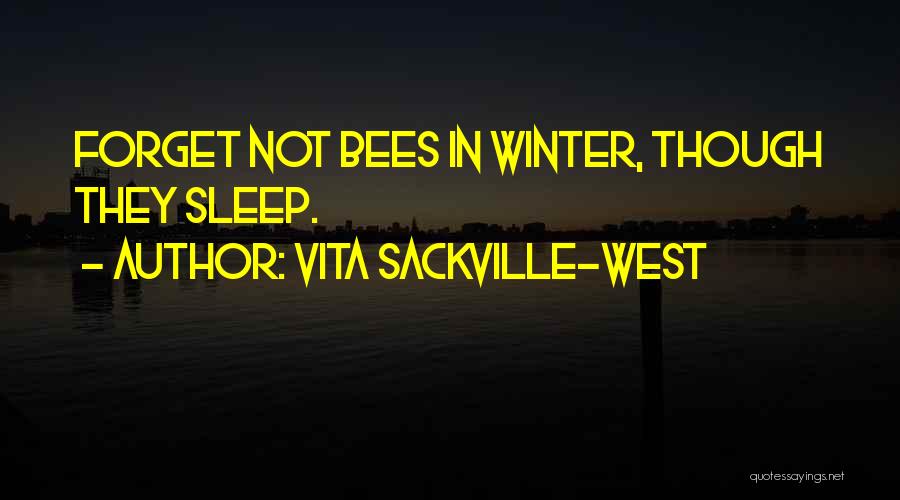 Vita Sackville-West Quotes: Forget Not Bees In Winter, Though They Sleep.