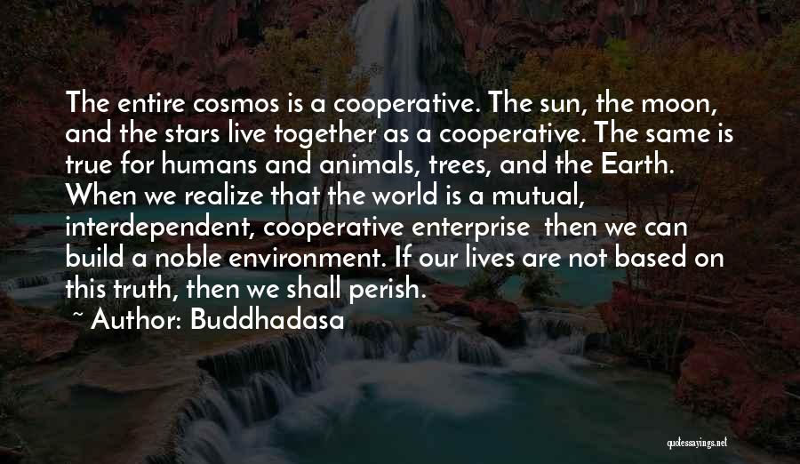 Buddhadasa Quotes: The Entire Cosmos Is A Cooperative. The Sun, The Moon, And The Stars Live Together As A Cooperative. The Same