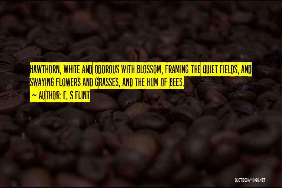 F. S Flint Quotes: Hawthorn, White And Odorous With Blossom, Framing The Quiet Fields, And Swaying Flowers And Grasses, And The Hum Of Bees.